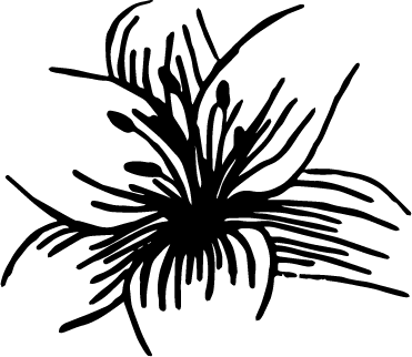 natura (2).png